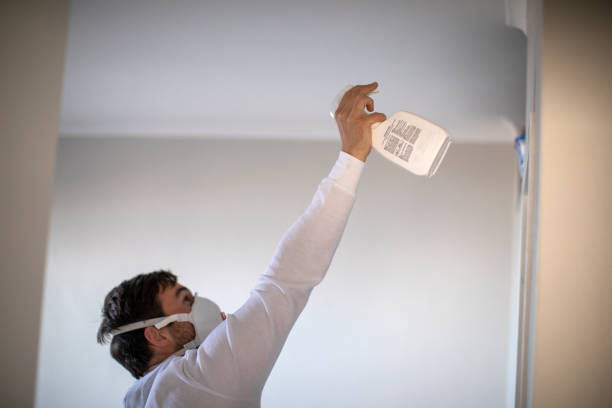 Best Mold Cleaning Services  in Caledonia, MS