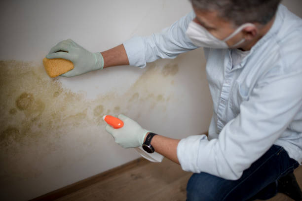 Crawl Space Mold Removal in Caledonia, MS